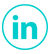 seguici su linkedin